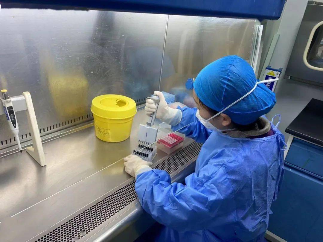 【便民服务】我院pcr实验室开展呼吸道病原多重检测项目_病毒_济源