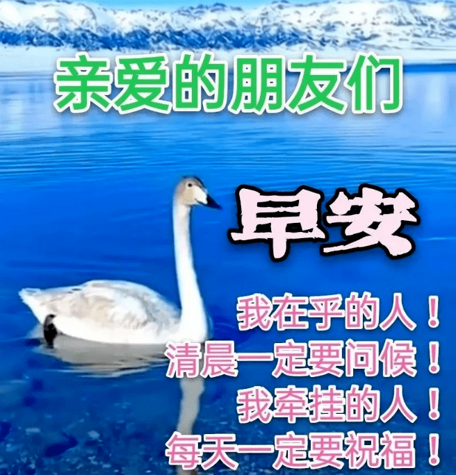朋友的每一声问候，都有深厚的情谊！_生命_光晕_心情