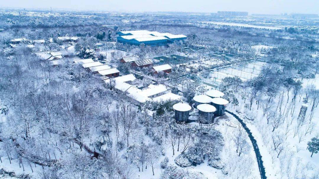 美出了另一番风韵在大雪中宋夹城,观音山等标志性景点瘦西湖,个园