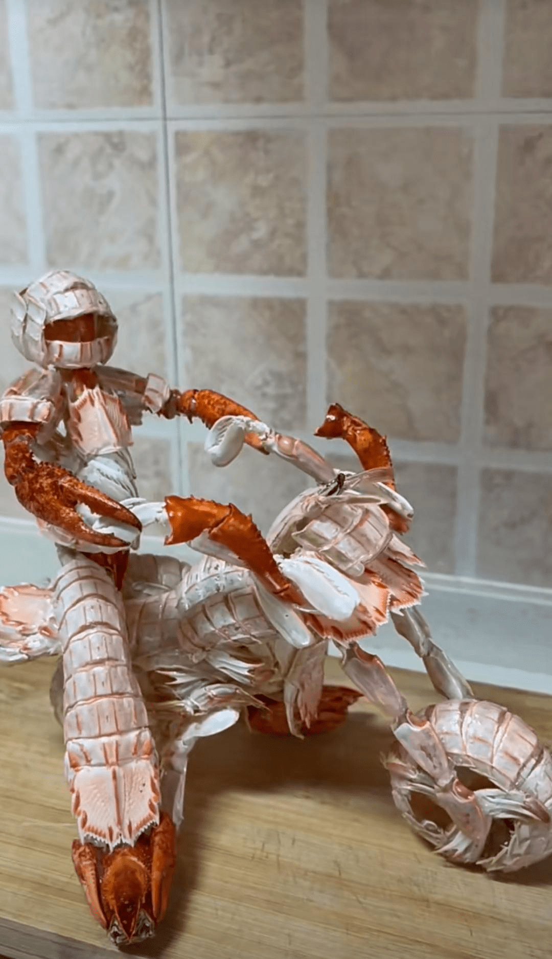 能这么拉风～都没想过皮皮虾这辈子似乎很刺激～膝盖中了一箭～有点酷