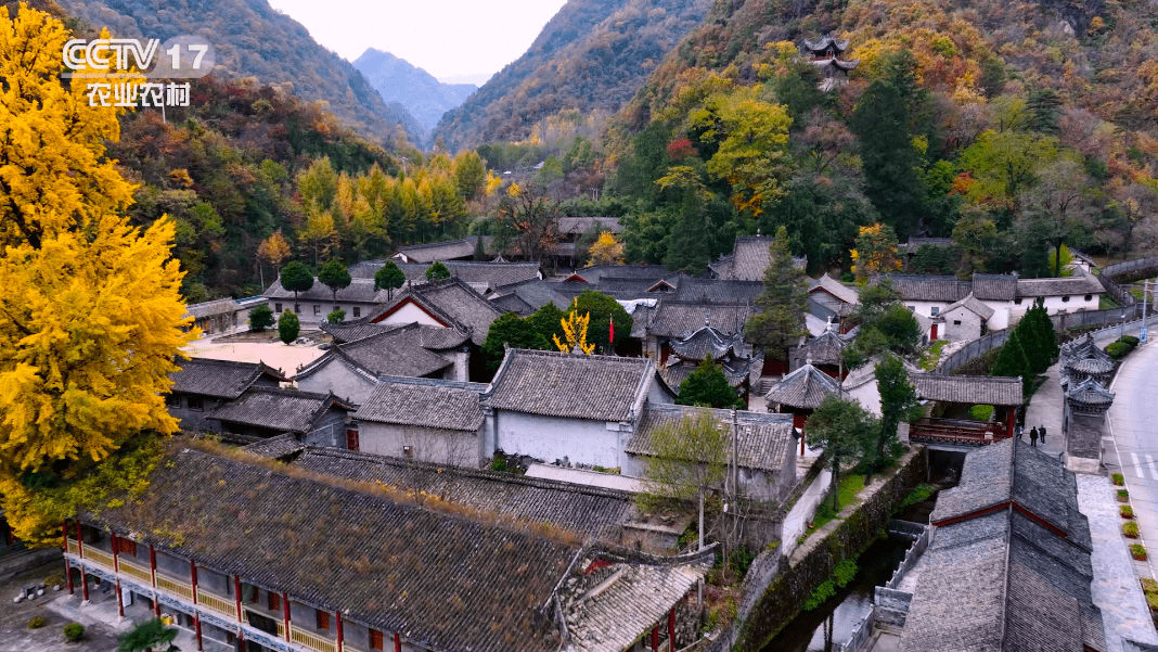 交旅融合 诗画留坝——陕西省汉中市留坝县四好农村路建设巡礼