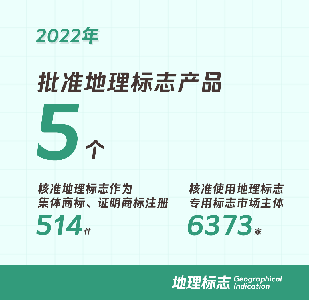 开云体育 开云平台一组图带你了解2022年知识产权工作(图8)