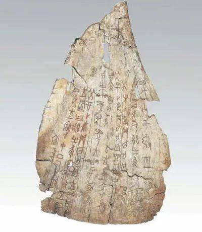 殷墟卜辞综述型号规格- 京东