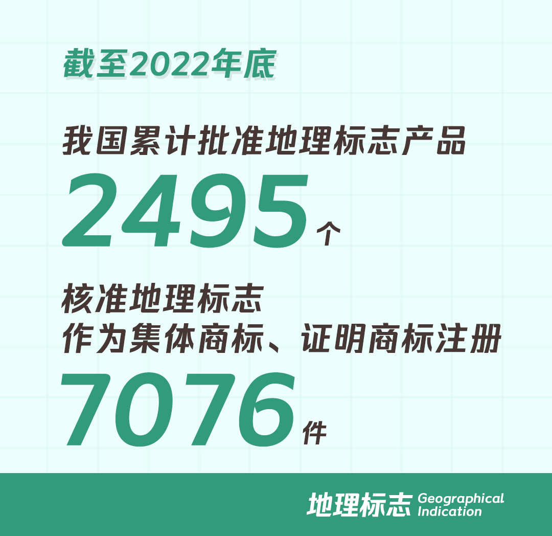 开云体育 开云平台一组图带你了解2022年知识产权工作(图9)