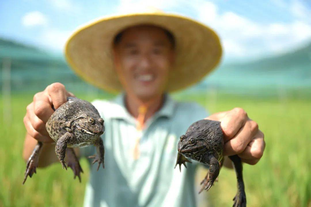 半月谈丨绿水青山该若何释放绿色盈利？