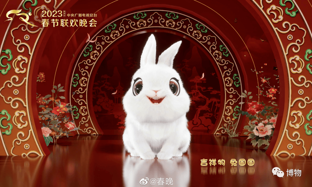 兔兔这么可爱，你怎么能不知道_兔子_门齿_博物