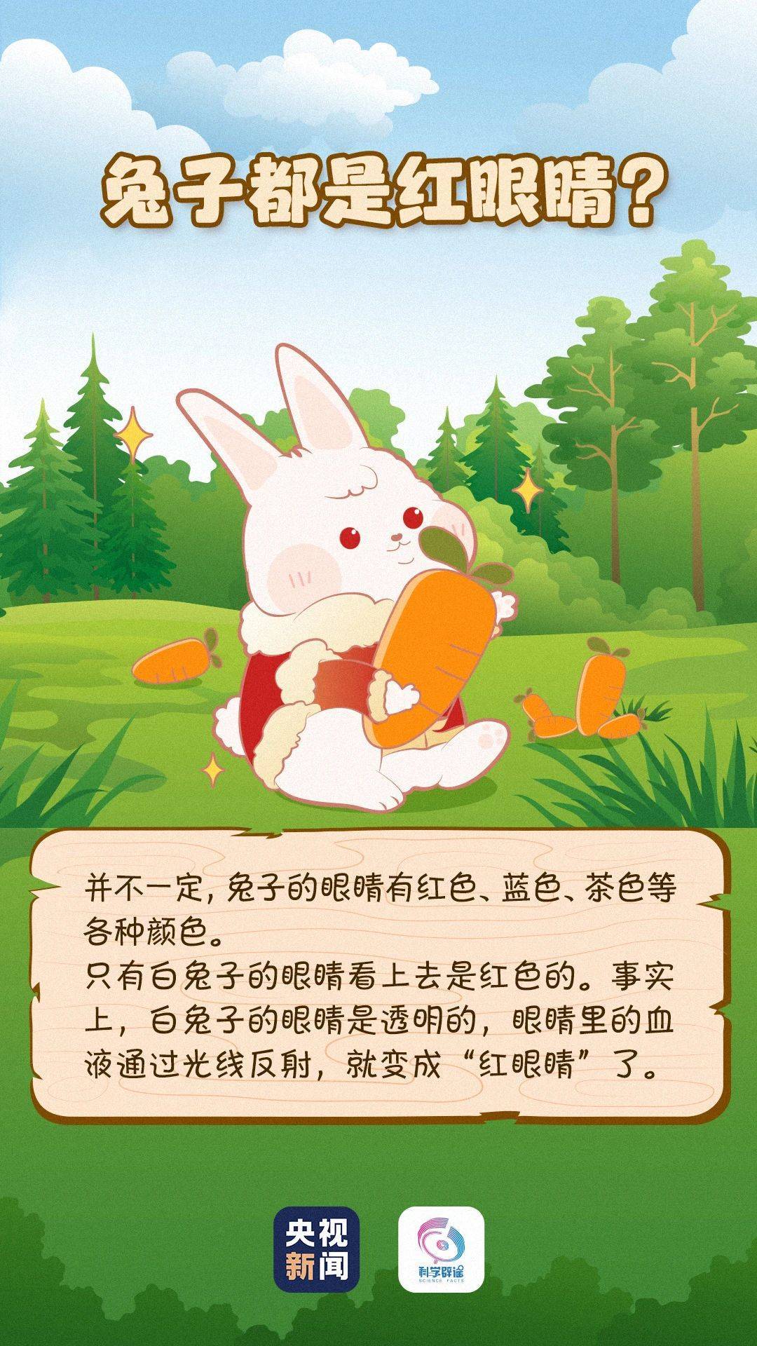 兔子眼睛是红色的,最爱吃胡萝卜?其实