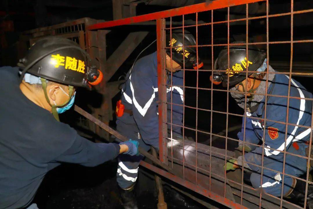 煤矿安全管理资格证图片