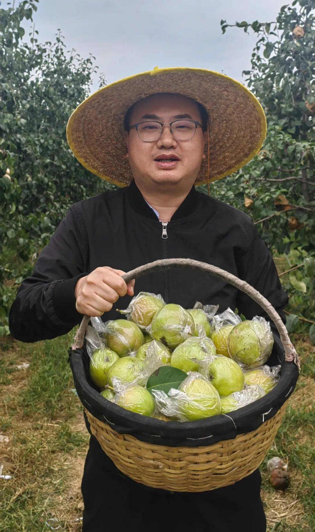 阜平_板栗_青龍