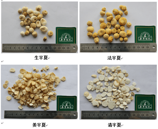 除此之外,临床上较为常见的半夏有:生半夏,清半夏,姜半夏,法半夏.