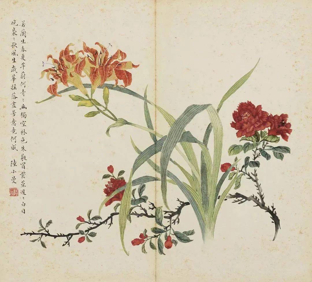 陆小曼：万寿恒春花卉册_搜狐网