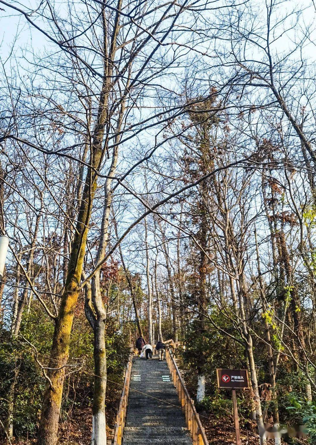 上饶:云碧峰森林公园_摄影_城市_天水