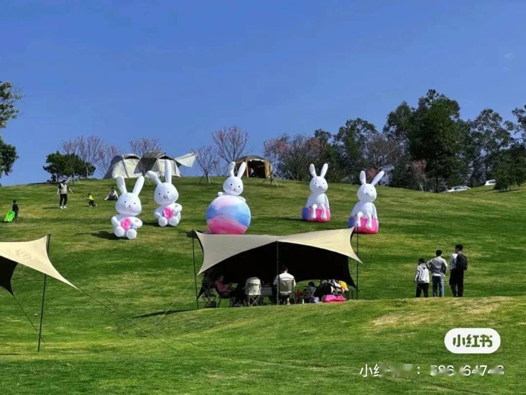 福建土樓(南靖)旅遊區,雲洞巖景區,天福石雕園景區,長泰文廟2023年