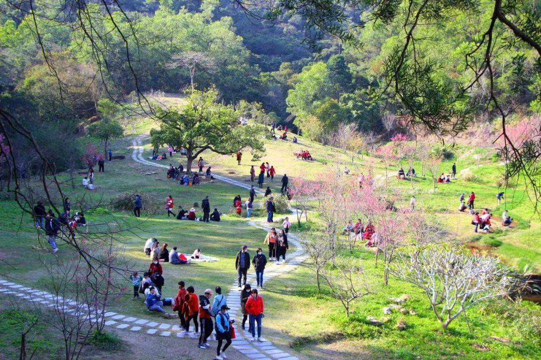 鳌峰山丛林公园樱花园百花盛放！太美了···