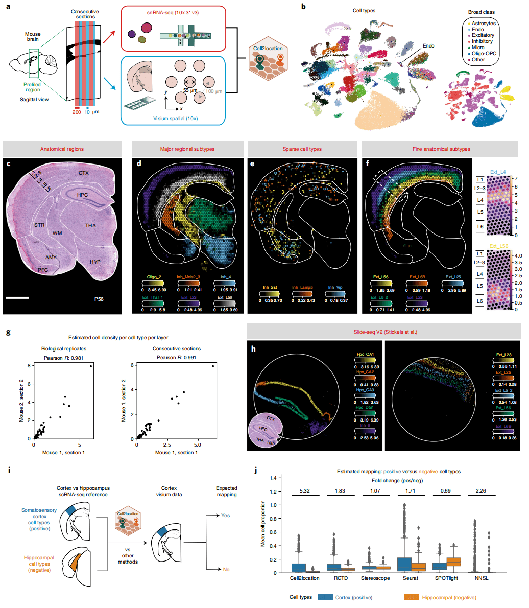 未来已来—单细胞测序联合空间转录组测序（整合篇）_类型_scRNA-seq_方法