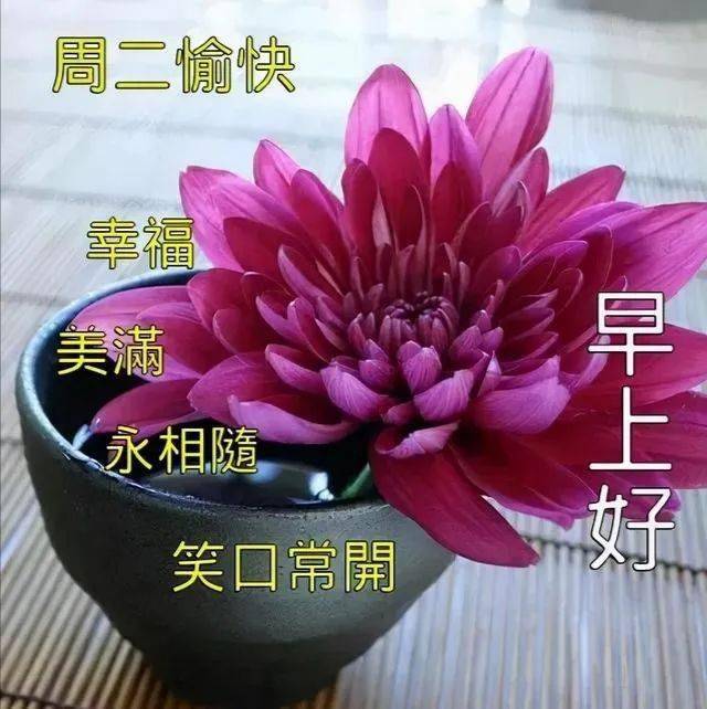 大年初九图片带字祝福,周一早安问候暖心祝福图片_生活_心情_朋友