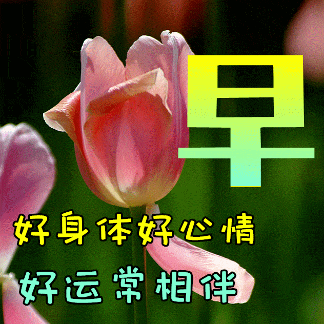 早上好动态表情图片大全,早晨好动图美图大全_朋友_祝福_问候
