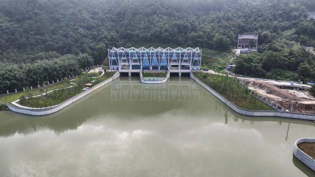 水未来丨平阳县水头镇:以水兴城 擦亮治水金名片