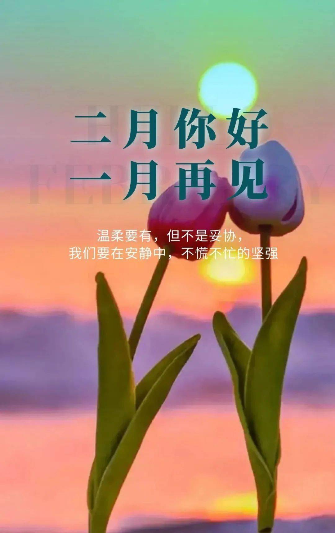 2月1日早安图片大全图片