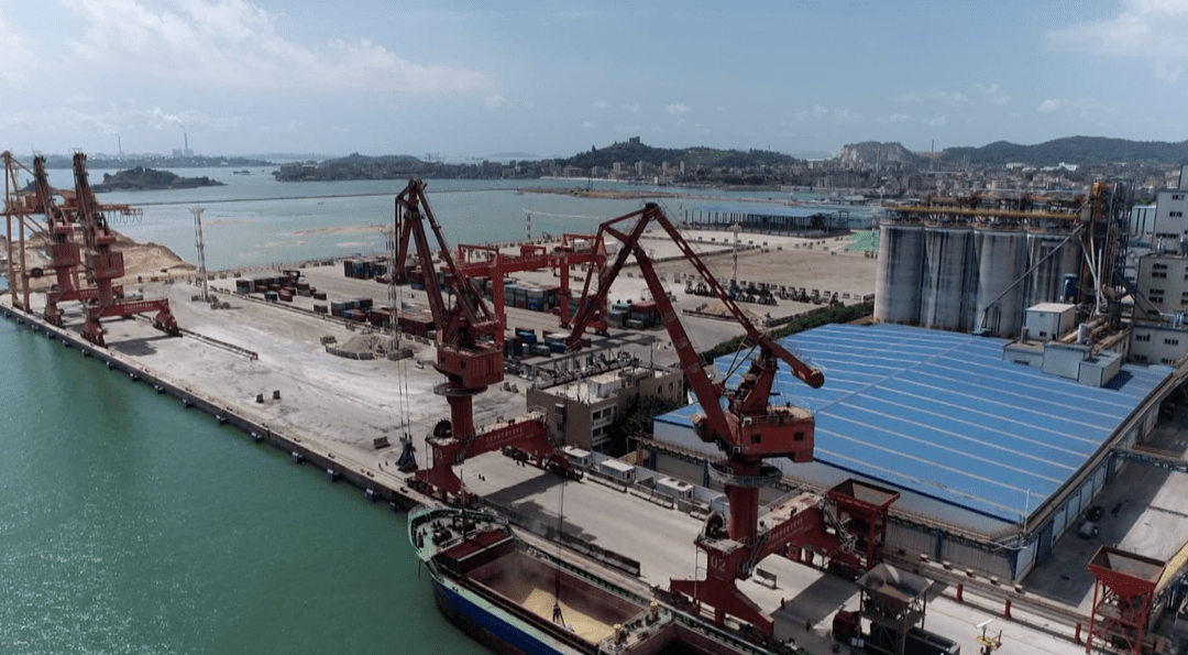 肖厝公司港口完成吞吐量1238万吨 再创历史新高!_业务_泉州_市场