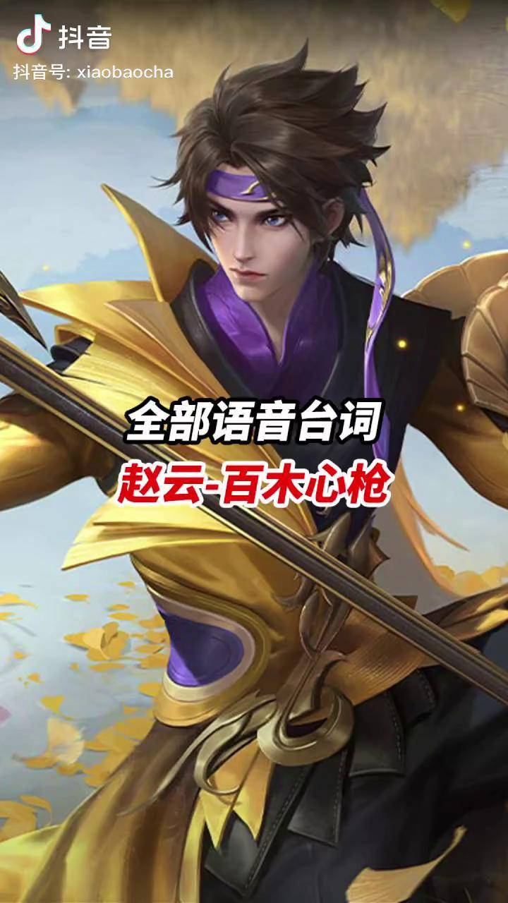 赵云-百木心枪 全部语音台词小宝茶 王者荣耀