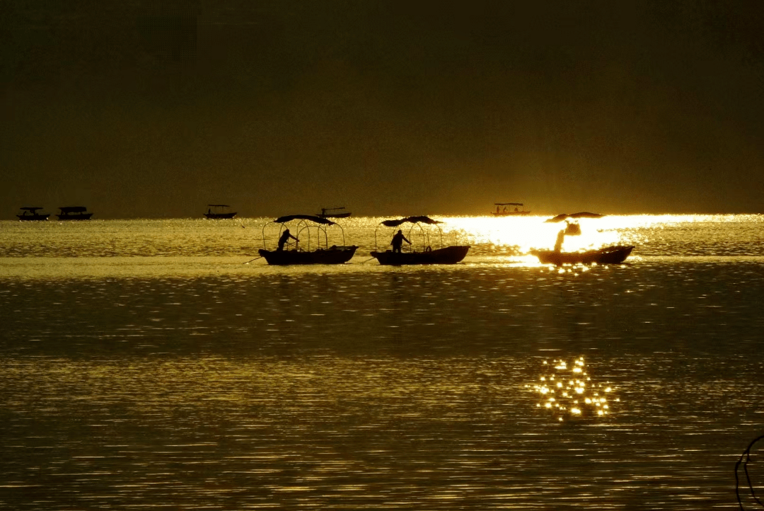 【世界湿地日】走进中国更大城市湿地 感触感染湿地与城市共生之美