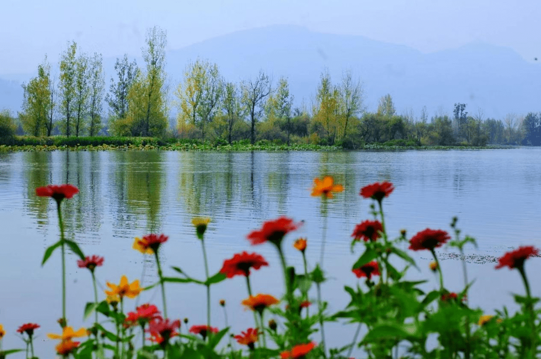 【世界湿地日】走进中国更大城市湿地 感触感染湿地与城市共生之美