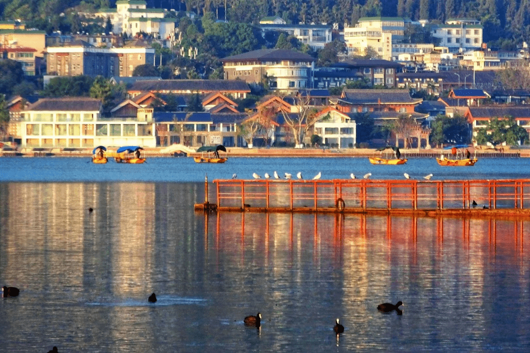 【世界湿地日】走进中国更大城市湿地 感触感染湿地与城市共生之美