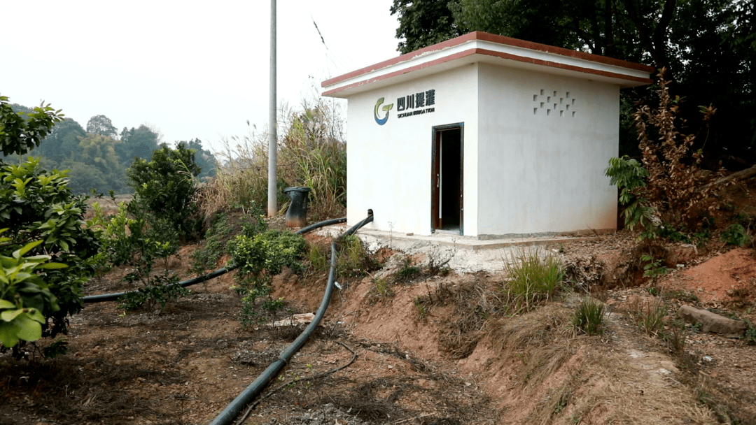 基层丨合江县:河水"逆流"助农 提灌站抗旱保春耕_用水_灌溉_姚泽兴