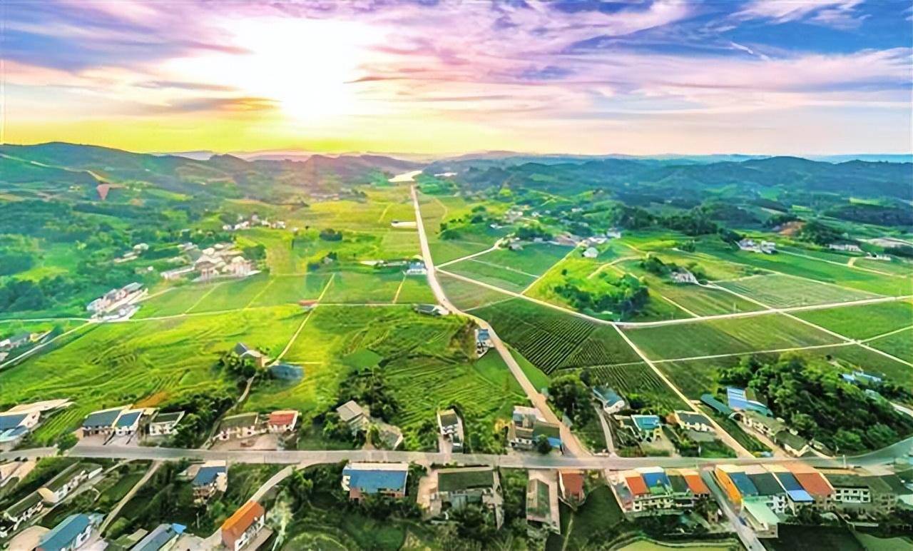 南川 推进"五个振兴" 创建国家农业现代化示范区_竹笋_品牌_茶叶