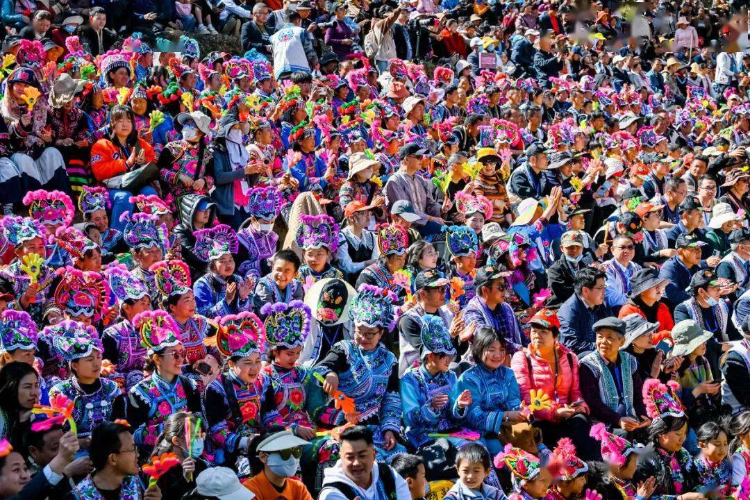 永仁2023直苴彝族赛装节火了!场面震撼→_文化_直播_大山