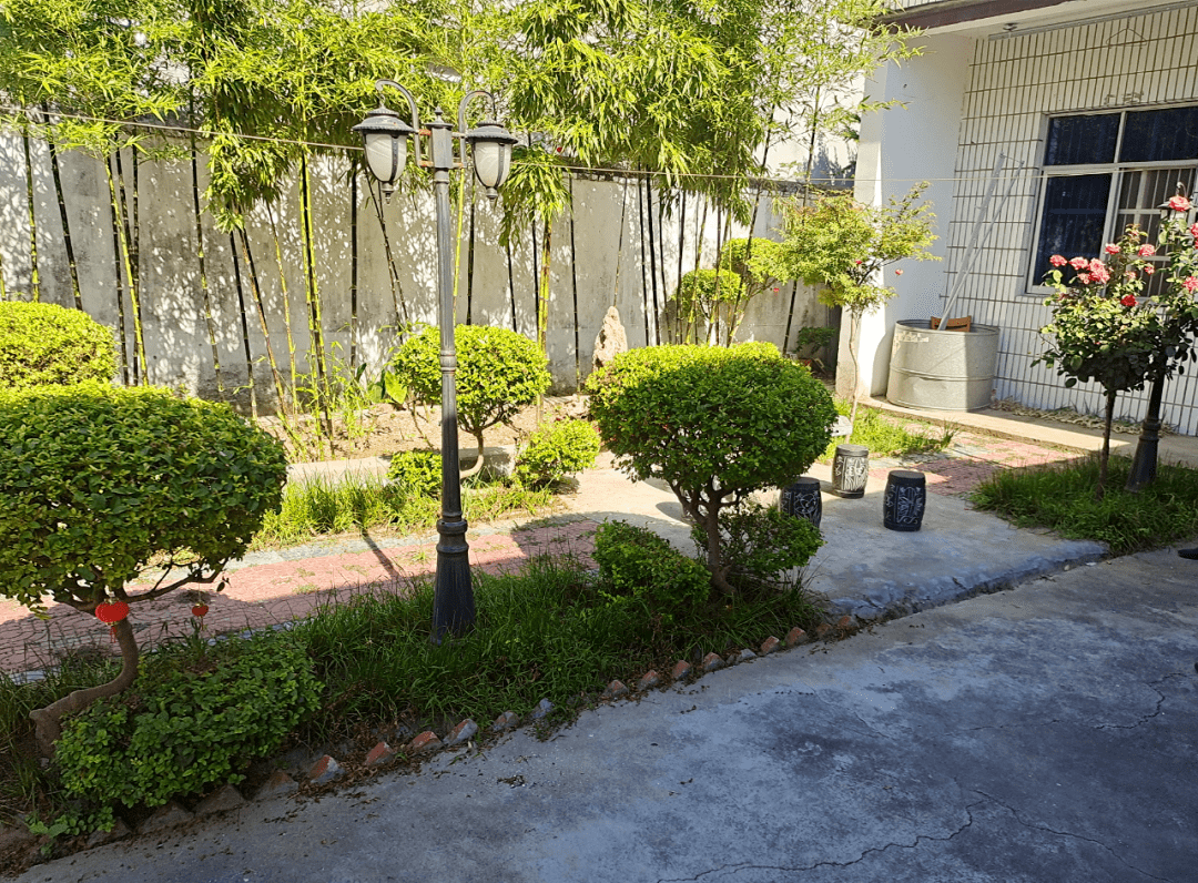 界首市顾集镇:美到家门口 乐到心里头_整治_工作_环境