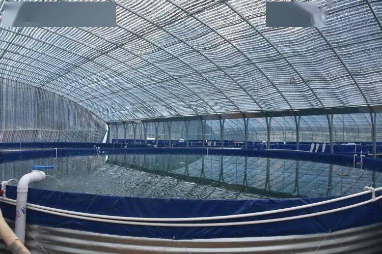 "陆基圆池养鱼项目,是一种新型高效,环保水产养殖模式.