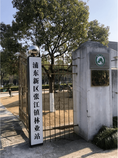 浦东新增2家"全国标准化林业工作站",全区数量达到5家_建设_生态_张江