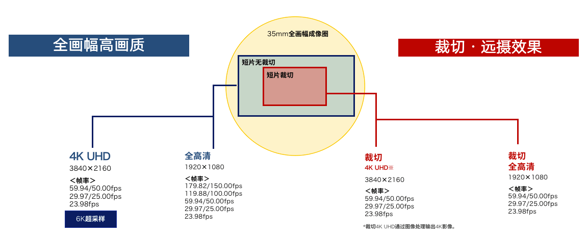 入门级相机市场加速内卷，佳能发布EOS R50与EOS R8相机