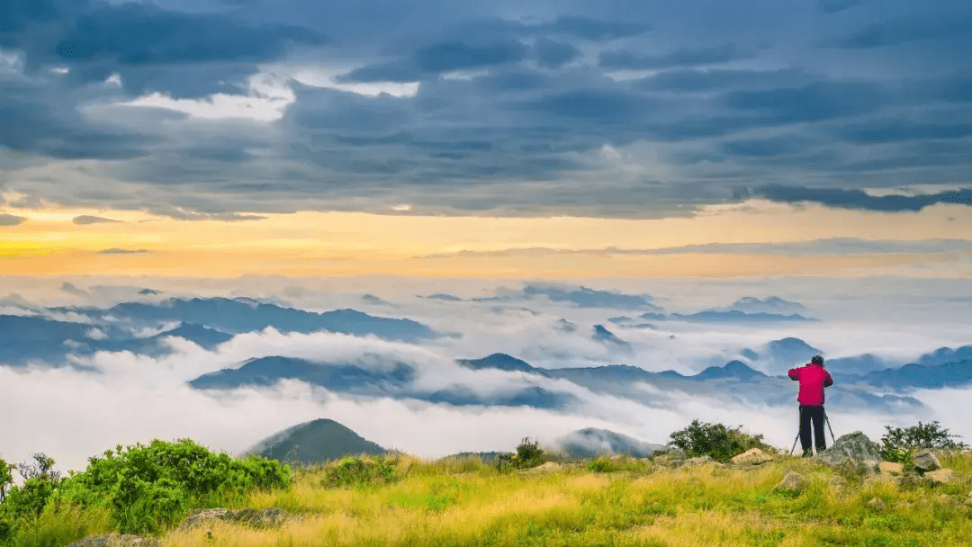 原來世上真有神仙小城,不在西部不在藏區,比蘇杭更天堂_縉雲_古村