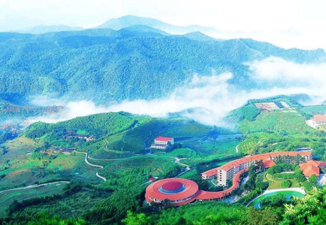 梅州!这次真的藏不住了_大埔_乡镇_街道