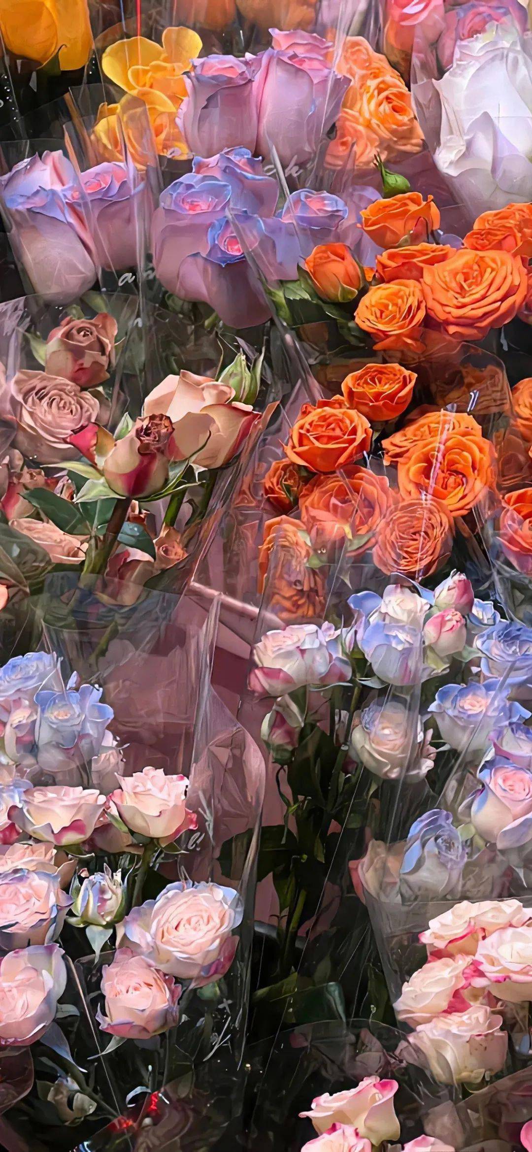 壁纸| 精致养眼的绝美壁纸