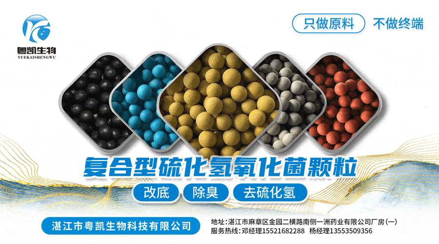 5个月，56口虾塘豪赚1200万！他的观点，有点与众不同！_养殖_杨树彬_品系