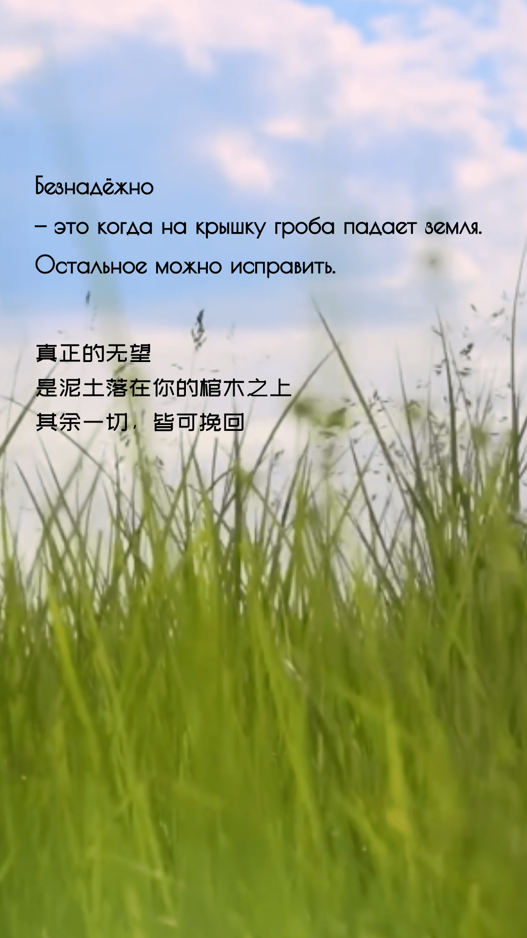 【有声 | 俄语美文】人生的大部分困境都有破局之法_声明_全文_资源