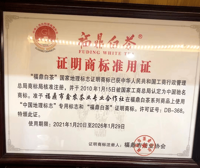 福鼎白茶商标授权图片