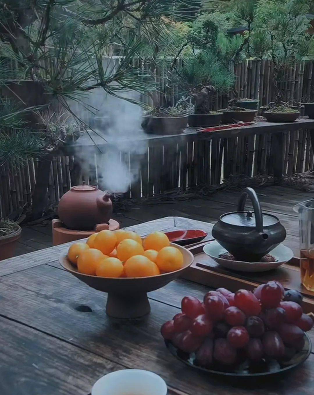 想有个院子,只是用来喝茶发呆_生活_小院_园艺