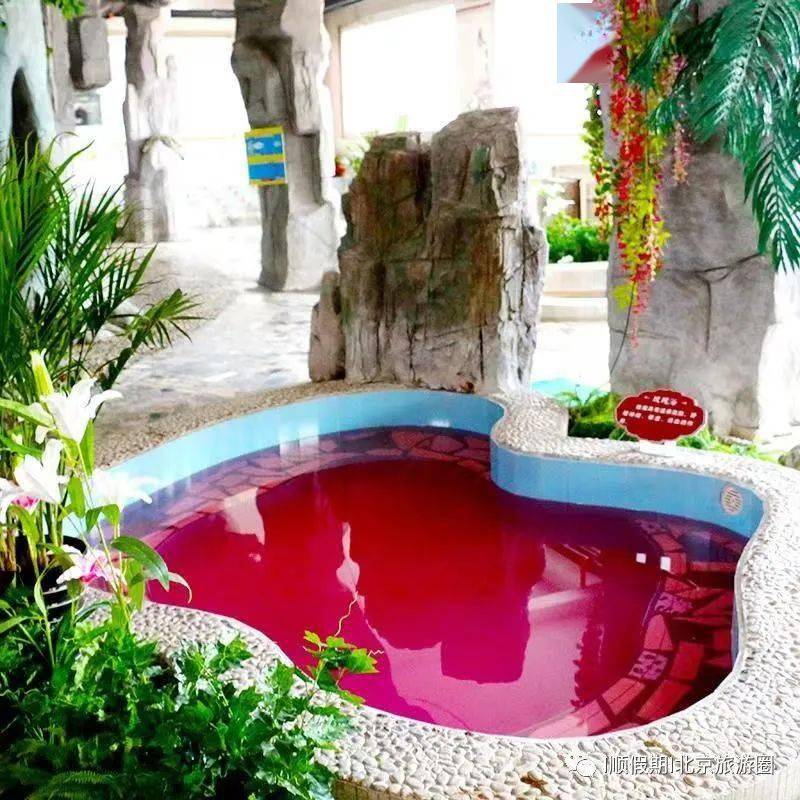 即将出发:顺假期带您养生娱乐之旅:徐水兴芮温泉 水世界双馆一日游138