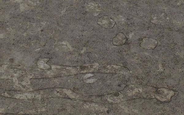 陕西遗址惊现2400年前冲水厕所,我国考古发现第一个“冲水式”厕所