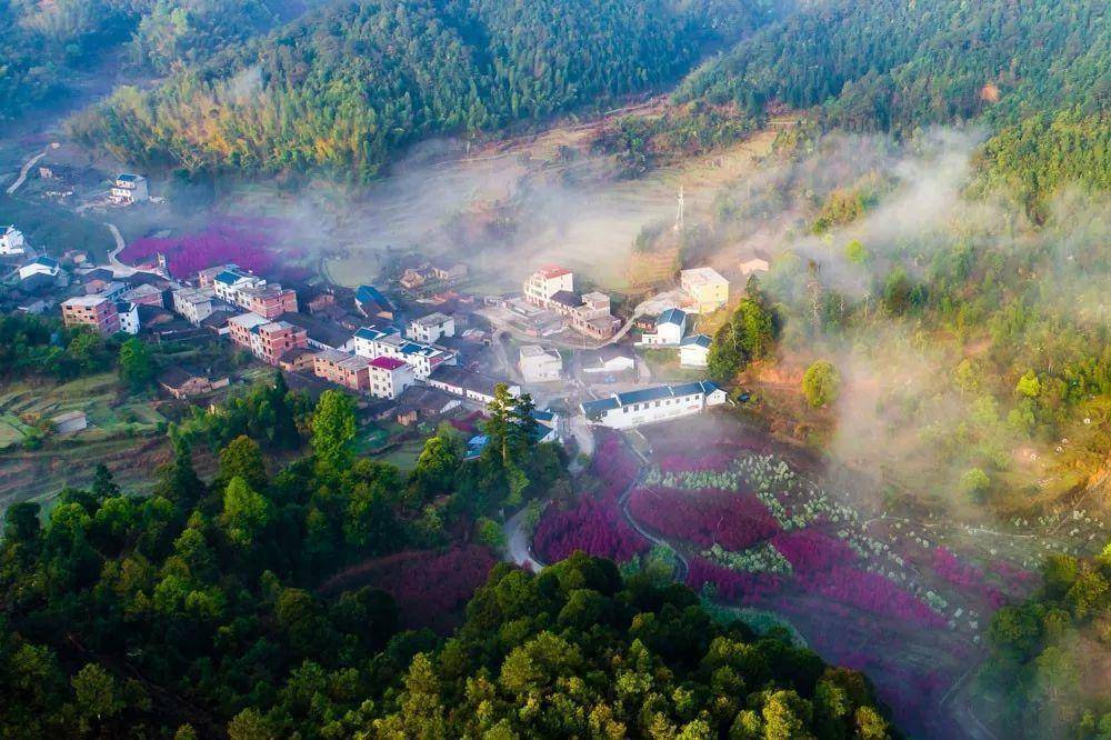 春天青山绿水花开图片图片