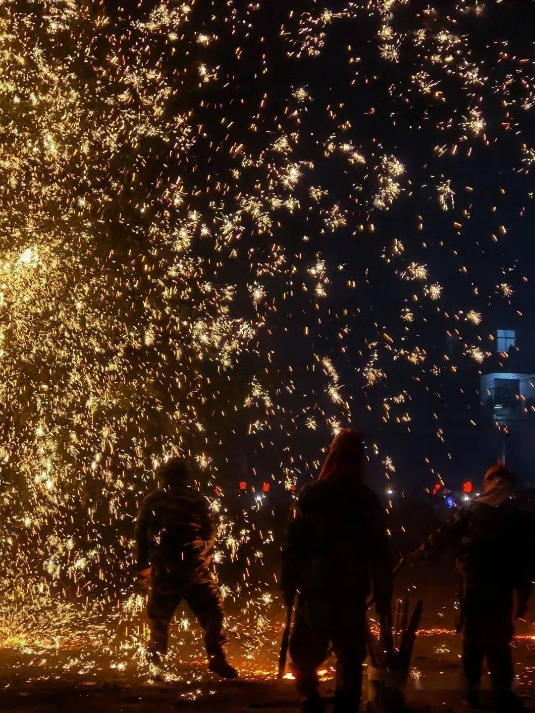 火树 来自搜狐网