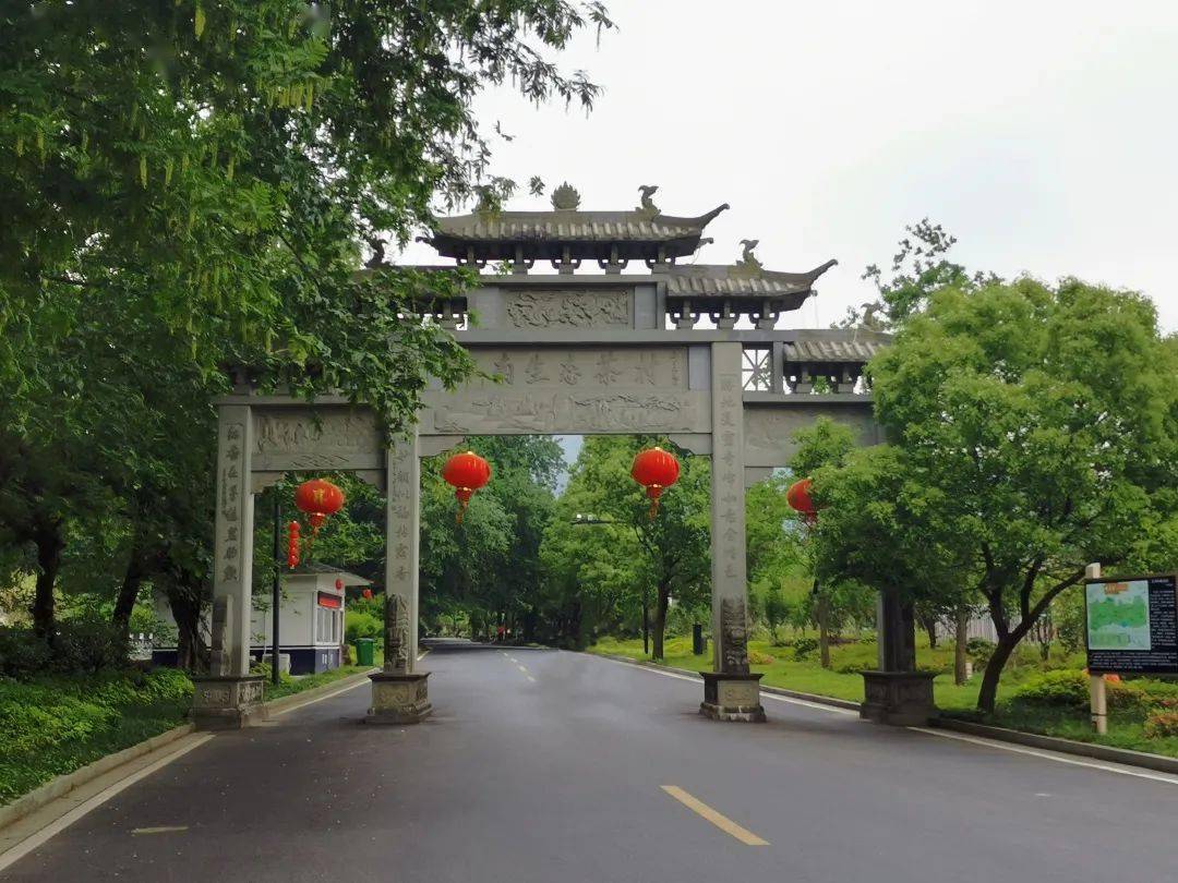 这次转塘有三家!_桐坞村_农村_社区