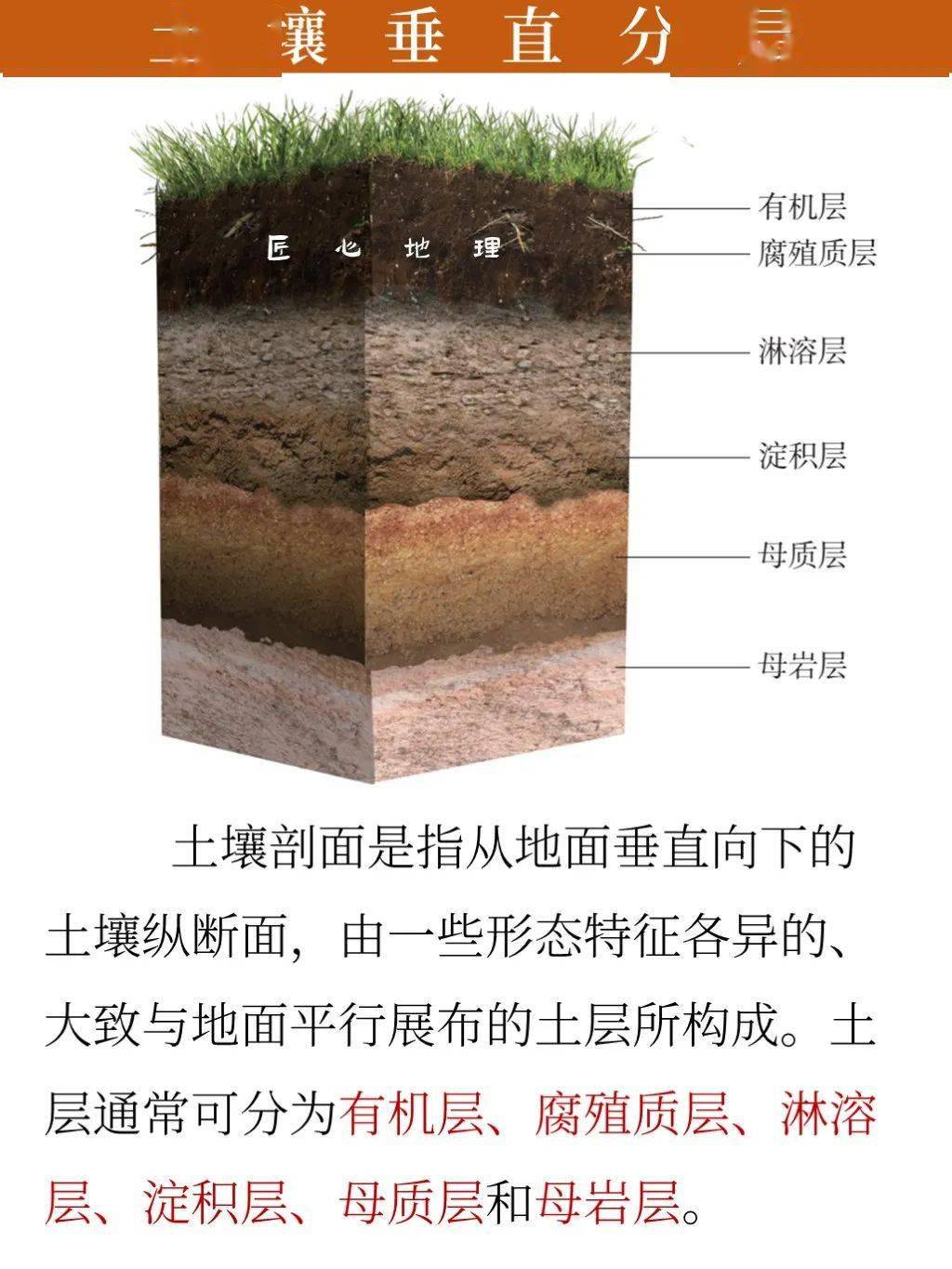 水稻土剖面土层示意图图片