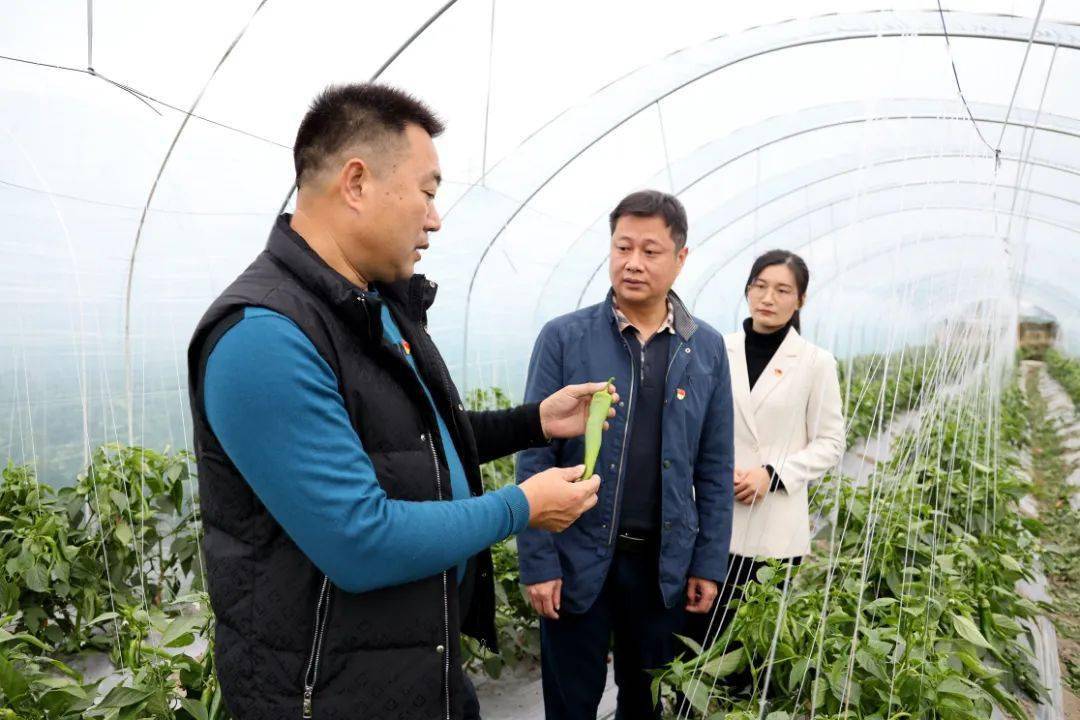 诏安:对标全会精神 实干彰显担当_监督_监察组_情况