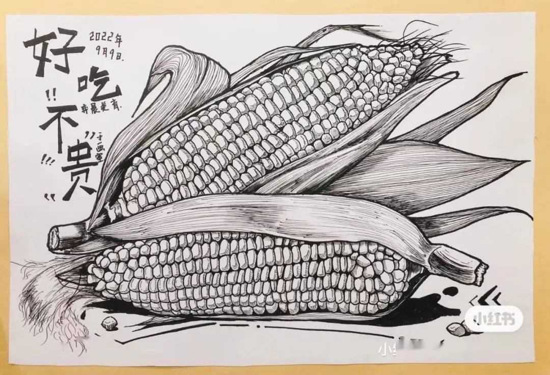 针管笔装饰线描,锻炼线条,黑白灰关系,效果完成后,每一张都能让你尖叫